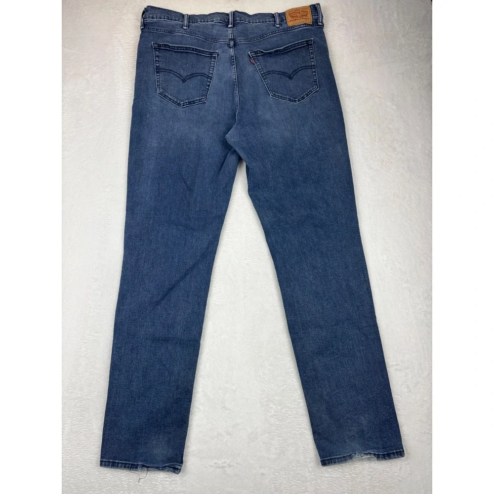 Levis levis 541
